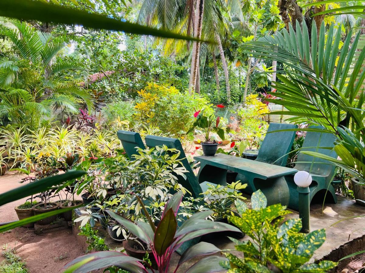 Sigiri Budget Homestay Sigiriya Esterno foto