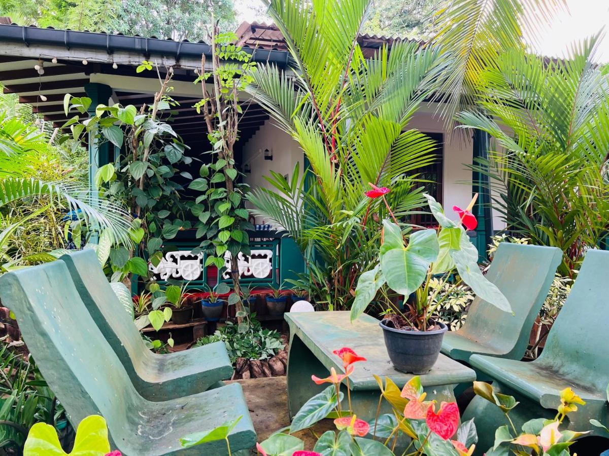 Sigiri Budget Homestay Sigiriya Esterno foto