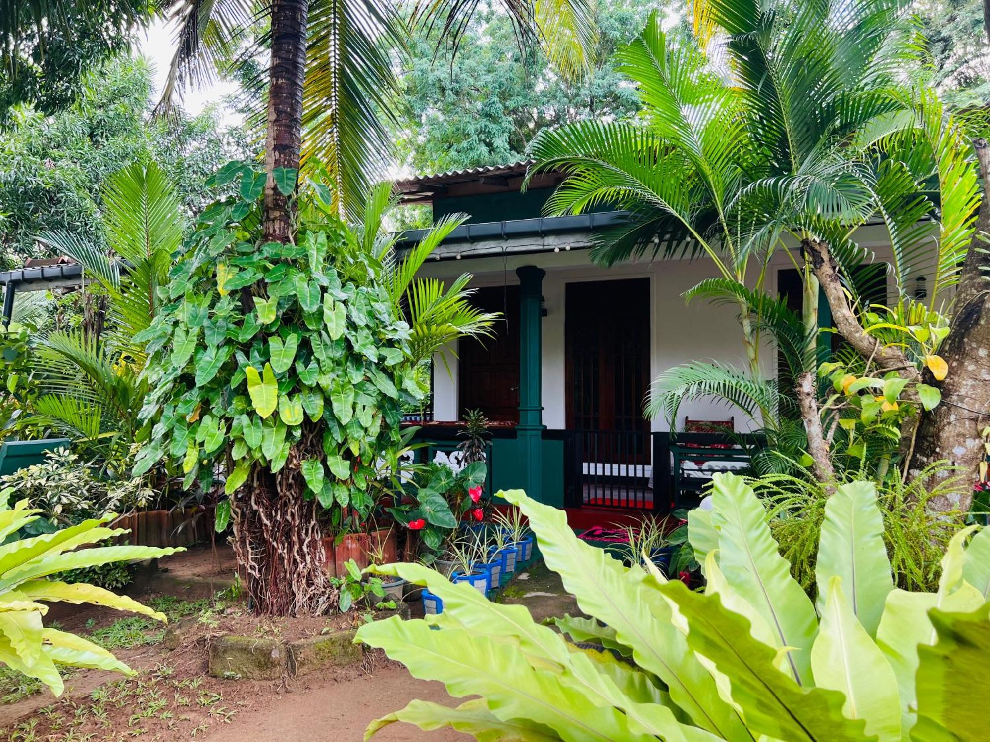 Sigiri Budget Homestay Sigiriya Esterno foto