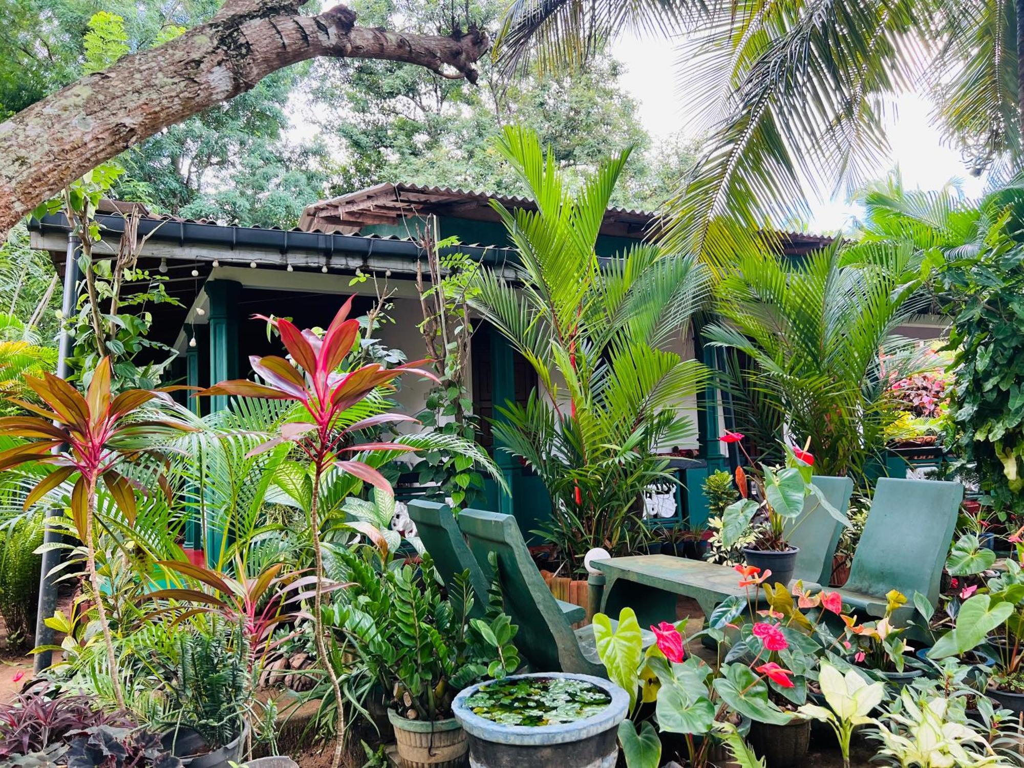 Sigiri Budget Homestay Sigiriya Esterno foto